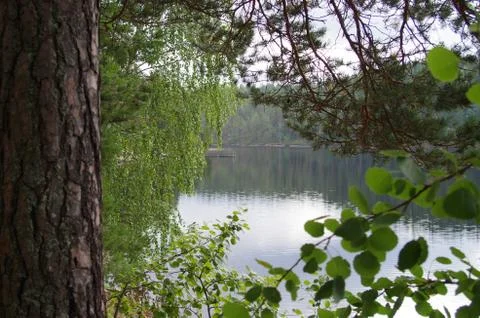 Lake view Stock Photos