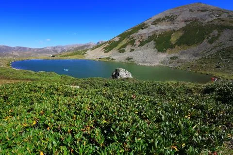 Lake view Stock Photos