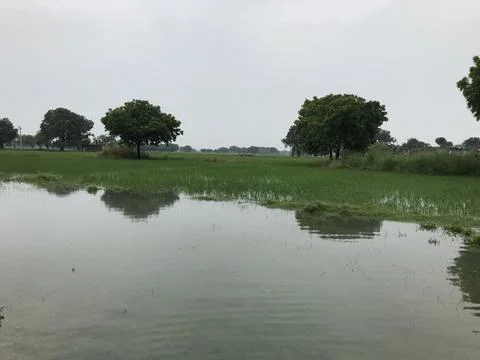 The lake view Stock Photos