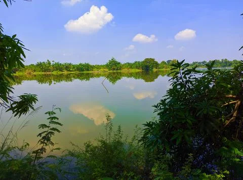 Lake view Stock Photos