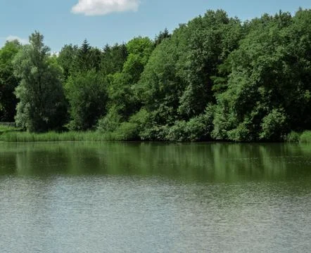 Lake view Foto stock