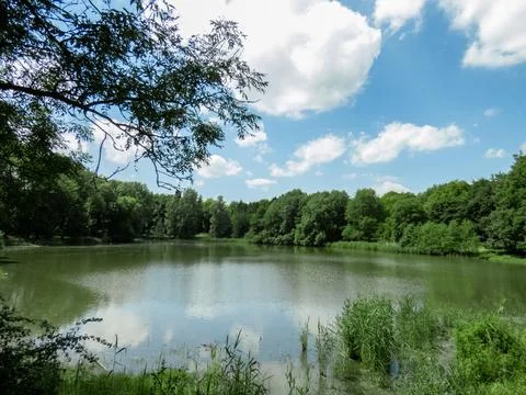 Lake view Foto stock