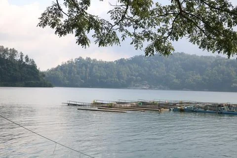 The Lake View Stock Photos