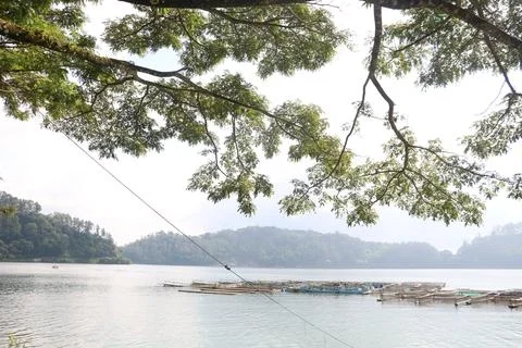 Lake View Stock Photos