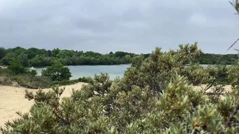 Lake view with sandy dunes and green vegetation under cloudy sky Stockbeeldmateriaal 310509936