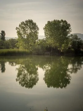 Lake view in spring Stock Photos