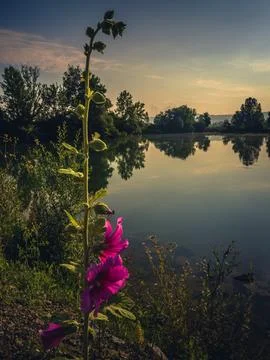 Lake view in spring Stock Photos