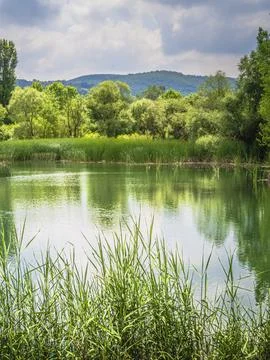 Lake view in spring Stock Photos