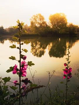 Lake view in spring Stock Photos