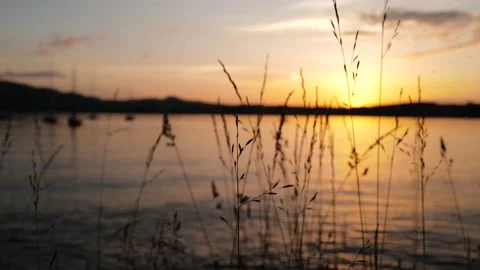 Lake View at Sunset Stock Footage 197602123