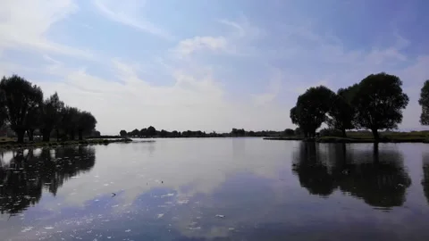 Lake View Surrounded by Trees Video stock 253976006