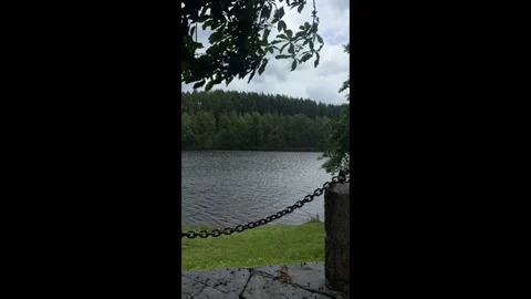 Lake View Through Branches and Chain Fence Stock Footage 310326668