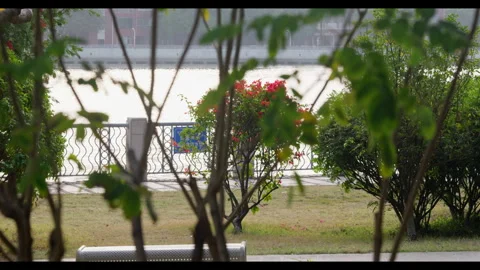 Lake View Through Foliage for Mindfulness Background Use Video stock 327800031