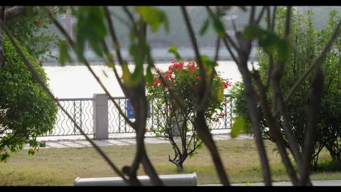 Lake View Through Foliage for Mindfulness Background Use Stock Footage 327800623