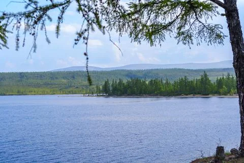 Lake view through tree branches with distant forest Stock Photos