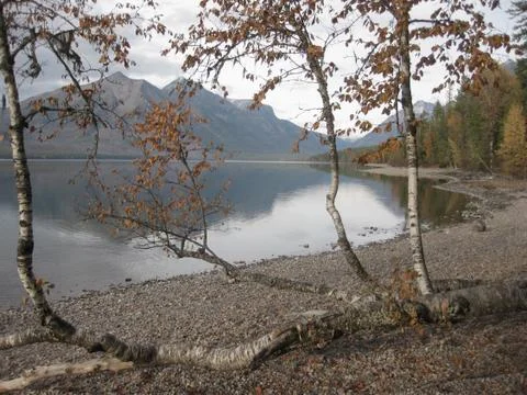 Lake view through the trees Stock Photos