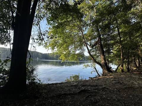 Lake view through trees Foto stock