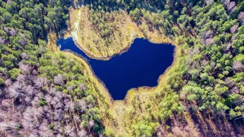 Lake view from the top of the mountain, Lithuania, Varena, Dirzameniu lake Stock Footage 282124654