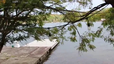 Lake View, Tracking with Trees in the Foreground Stock Footage 140692213