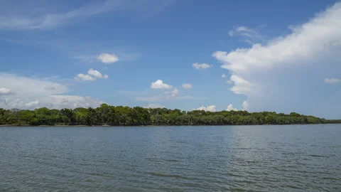 Lake view with tree under cloudy sky located at Bangkok Thailand Stock Footage 339515877