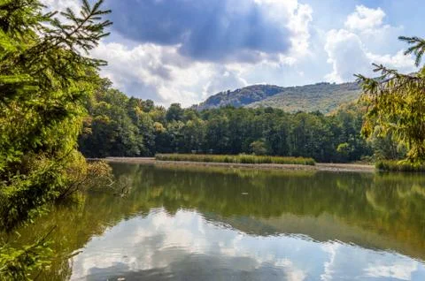 Lake view with trees and clouds Stock Photos