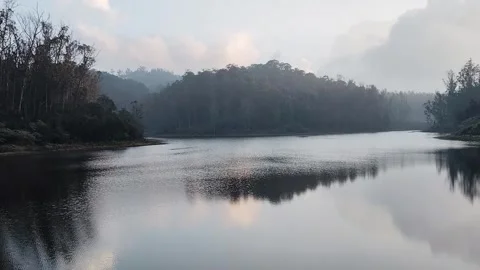 Lake View With Trees Stock Footage 300772813