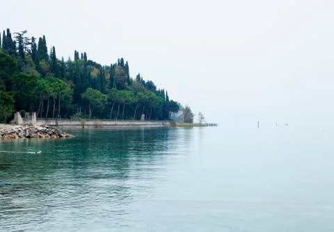 Lake view with trees Stock Photos