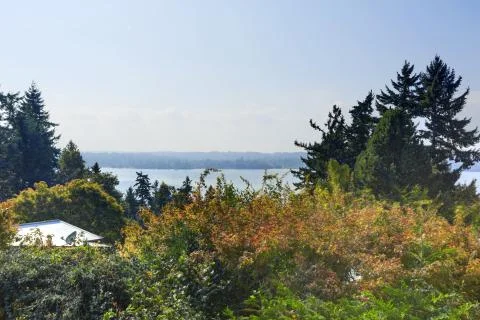 Lake view from walkout deck Stock Photos