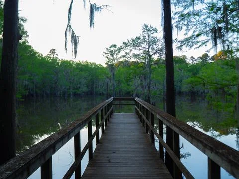 Lake Walkway Stock Photos