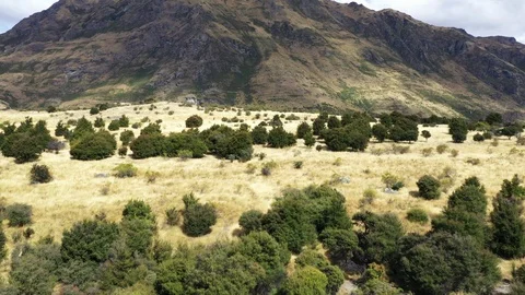 Lake Wanaka 3 Stock Footage 103443994