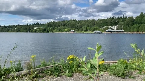 Lake Washington Vídeos de archivo 134842150