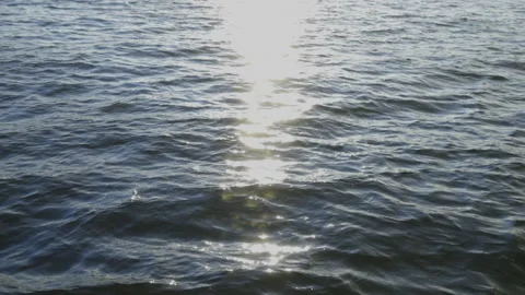 Lake Washington Video stock 163860385