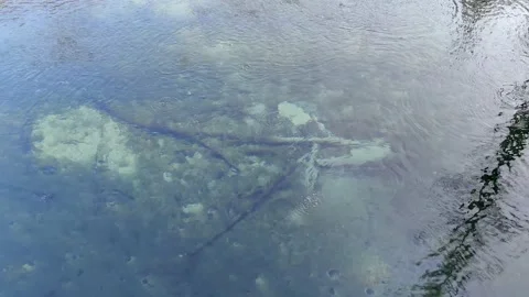 The lake water is bubble Video stock 151440845