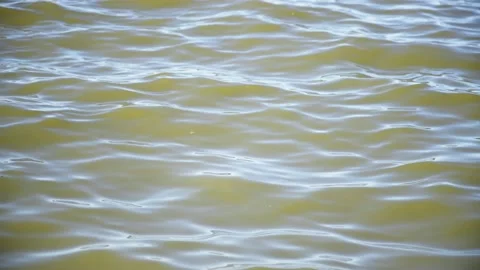 Lake water close up Vidéo 164500708