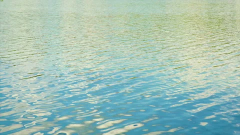 Lake water close-up in summer. Selective focus. Stock Footage 154701533