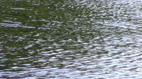 Lake Water Current Stock Footage 49942864