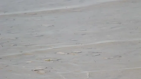 Lake water Stock Footage 27069085