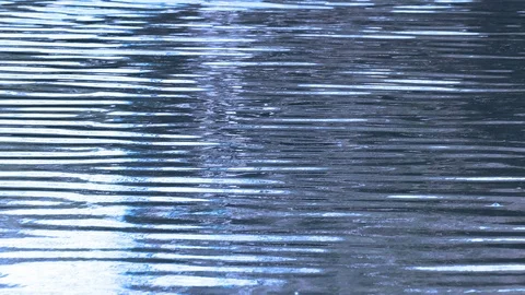 Lake Water Stock-Footage 102875559