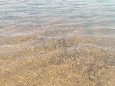 Lake water Stock Footage