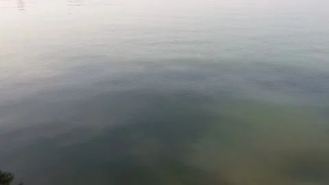 Lake water 스톡 동영상 155348649