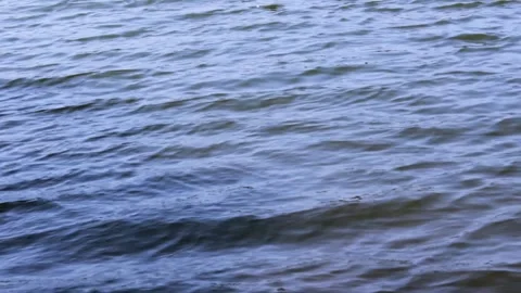 Lake Water Stock Footage 158710082