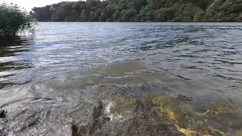 Lake Water Stock Footage 162256636