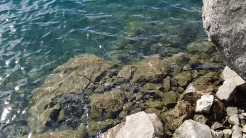 Lake water 스톡 동영상 234775097