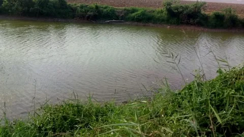 The lake water Stock Footage 257630384