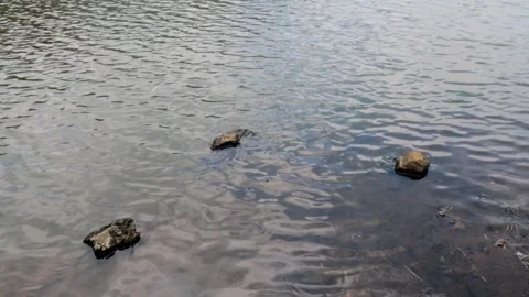 Lake Water Stock Footage 258828748