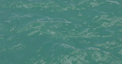 Lake water forms small waves on the surface Stock Footage 201109487