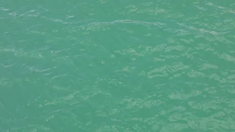 Lake water forms small waves on the surface Stock Footage 201109594
