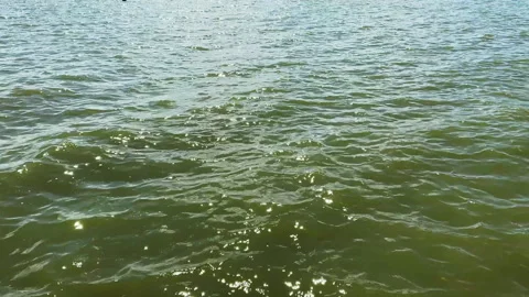 Lake water in motion close up Stock Footage 301924672