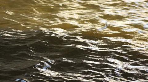 Lake water moving Stock Footage 44350005