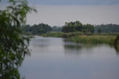 Lake water Foto stock